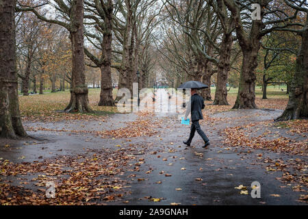 Mann mit Regenschirm in St. James's Park auf awet November Tag, London, England Stockfoto