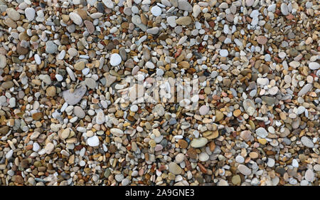 Hintergrund der tausend kleine Kieselsteine am Strand Stockfoto