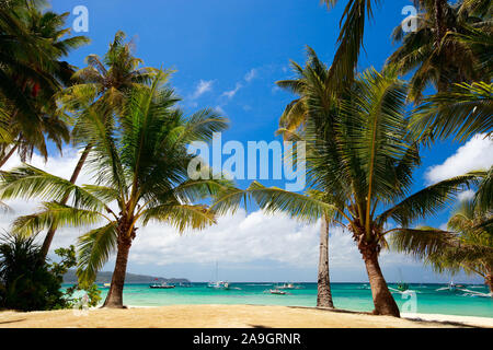 Boracay, Phillippinen, Insel, Strand, Palmen, Stockfoto