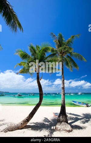 Boracay, Phillippinen, Insel, Strand, Palmen, Stockfoto