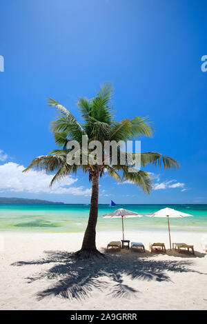 Boracay, Phillippinen, Insel, Strand, Palmen, Stockfoto