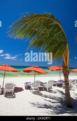 Boracay, Phillippinen, Insel, Strand, Palmen, Stockfoto