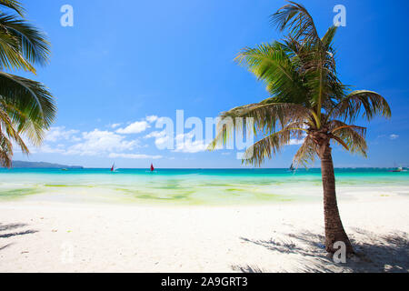 Boracay, Phillippinen, Insel, Strand, Palmen, Stockfoto