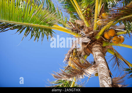 Boracay, Phillippinen, Insel Stockfoto