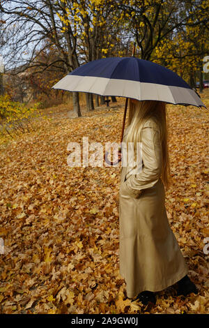 Junge Frau ist im Herbst Park im regnerischen Wetter unter einem Schirm. Sie geht auf einen Teppich, gelbe und rote Blätter, Hintergrund sind Bäume Stockfoto