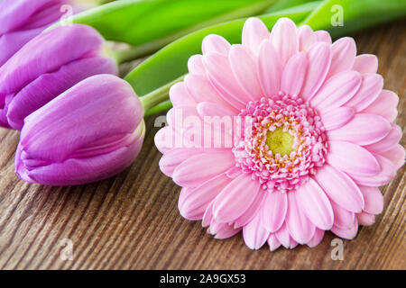 Tulpen und Gerbera Blumen gegen Holz- Hintergrund Nahaufnahme Stockfoto