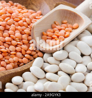 Rote Linsen und weiße Bohnen Stockfoto