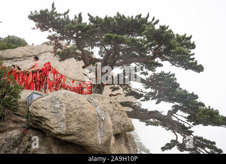 Huashan, China - August 2019: Touristen stehen unter kleiner Baum und die Bilder von sich auf einem schmalen Grat auf einem Berg Trail in den Westen Stockfoto