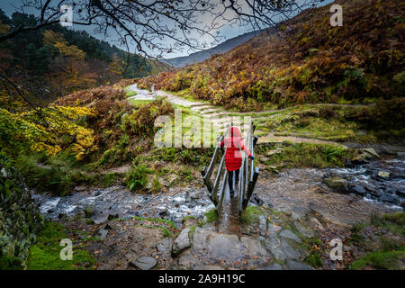 Eine Frau in einem roten Mantel kreuzt eine hölzerne Brücke über einem Wasserfall an einem kalten Wintertag draußen in der britischen Landschaft, Wandern und Bergsteigen Stockfoto