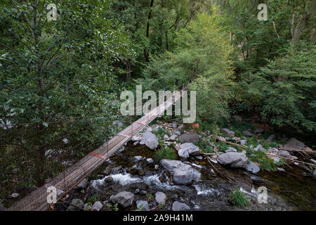 Seilbrücke über den Fluss, umgeben von üppigem Laub in Arizona, USA Stockfoto