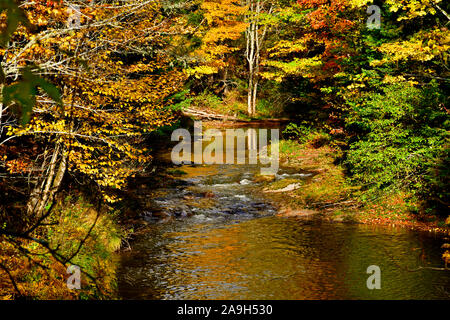 Eine langsame Strömung wandert durch die bunten Wälder im ländlichen New Brunswick in der Nähe von Sussex. Stockfoto