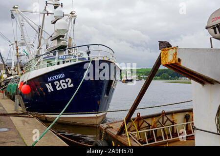 Jakobsmuscheln Schwimmbagger am Hafen in Kirkcudbright, Dumfries und Galloway, Schottland. Stockfoto