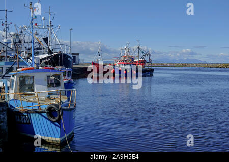 Boote im Hafen von Girvan, South Ayrshire, Schottland. Stockfoto