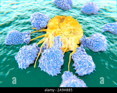 Lymphozyten angreift eine Krebszelle, Abbildung Stockfoto