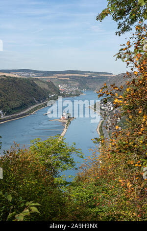 Blick auf die Burg Pfalzgrafenstein von rheinsteig Wanderweg mit bunten Bäume im Herbst, Kaub, Deutschland Stockfoto