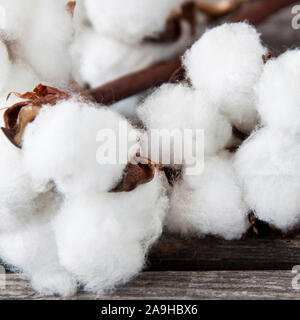 Watte schließen sich gegen Holz- Hintergrund Stockfoto