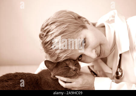 Frau Veterinär zeigen Liebe und Fürsorge für Haustiere, Patient graue Katze. Arzt portrait Nahaufnahme und in Sepia Farbe Stockfoto