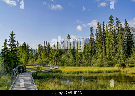 Polizist's Creek, Canmore, Alberta, Kanada Stockfoto