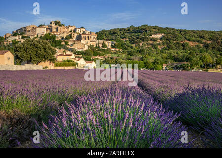 Stadt Sisteron Frankreich Provence Valensole region Lavendelfelder Stockfoto