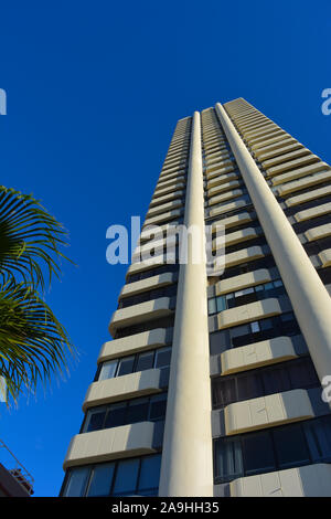 Palmen und Hochhäuser an der Playa Levante Waterfront, Low Angle View, Benidorm, Alicante, Spanien Stockfoto