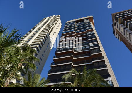 Palmen und Hochhäuser an der Playa Levante Waterfront, Low Angle View, Benidorm, Alicante, Spanien Stockfoto