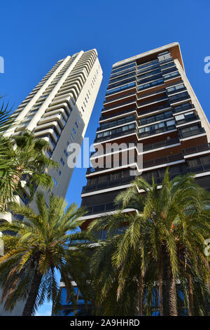 Palmen und Hochhäuser an der Playa Levante Waterfront, Low Angle View, Benidorm, Alicante, Spanien Stockfoto