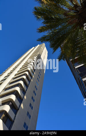 Palmen und Hochhäuser an der Playa Levante Waterfront, Low Angle View, Benidorm, Alicante, Spanien Stockfoto