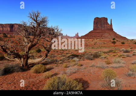 Die Wüste Landschaft des Monument Valley, Navajo Tribal Park im Südwesten USA in Arizona und Utah, Amerika Stockfoto