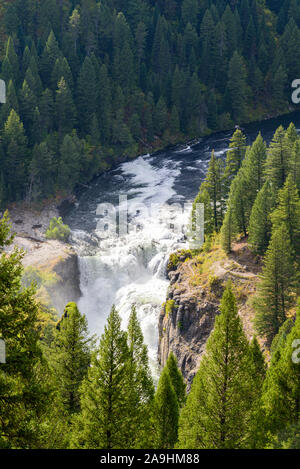 Blick auf den Wasserfall und den Fluss, der durch den grünen Wald führt. Stockfoto