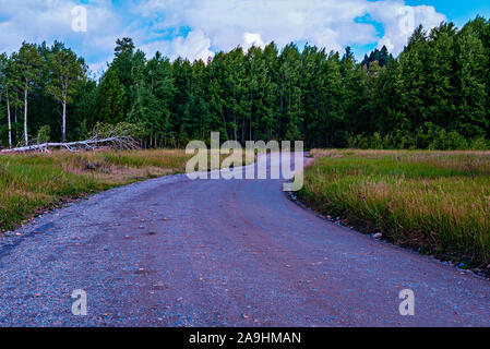 Unbefestigte Straße kurvt durch die grünen und gelben, grünen Felder in den grünen Wald hinaus unter einem blauen Himmel mit weißen flauschigen Wolken. Stockfoto