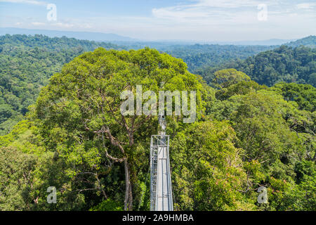 Anzeigen von Ulu Temburong Nationalpark oder fathul Park, in Temburong District im Osten Brunei von Canopy Walkway Stockfoto