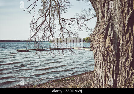 Alter Baum durch einen See, retro Farbe getonte Bild. Stockfoto