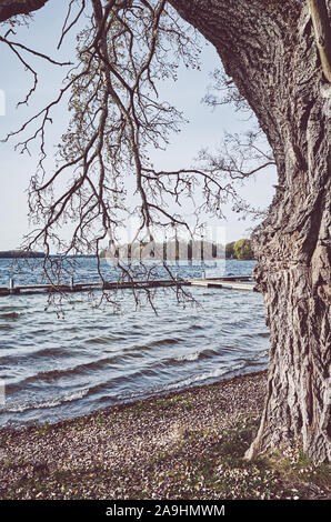 Alter Baum durch einen See, retro Farbe getonte Bild. Stockfoto