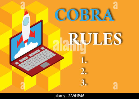 Wort schreiben Text Cobra Regeln. Business Foto präsentiert die Gruppe Krankenversicherung nach einem Job Verlust Rakete starten Wolken laptop Ba Stockfoto