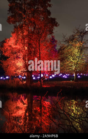 Syon Park, London, Großbritannien, 15. November 2019. Illuminationen Der verzauberte Wald" im Syon Park und rund um den historischen Syon House wieder öffnet für die Öffentlichkeit mit einer Spur der schön beleuchteten Szenen rund um den Park und das historische Syon House mit seiner großen Wintergarten und Lasershow im Inneren. Verzauberte Wälder wird geöffnet, freitags, sonntags 15. Nov, 1. Dez, 2019. Credit: Imageplotter/Alamy leben Nachrichten Stockfoto