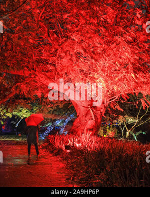 Syon Park, London, Großbritannien, 15. November 2019. Illuminationen Der verzauberte Wald" im Syon Park und rund um den historischen Syon House wieder öffnet für die Öffentlichkeit mit einer Spur der schön beleuchteten Szenen rund um den Park und das historische Syone Haus mit seinen großen Wintergarten und Lasershow im Inneren. Verzauberte Wälder wird geöffnet, freitags, sonntags 15. Nov, 1. Dez, 2019. Credit: Imageplotter/Alamy leben Nachrichten Stockfoto