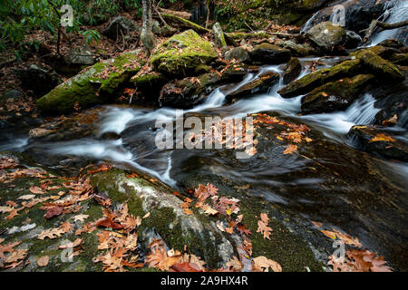 Obere Dill fällt auf Tanasee Creek - Nantahala National Forest, Kanada, North Carolina, USA Stockfoto