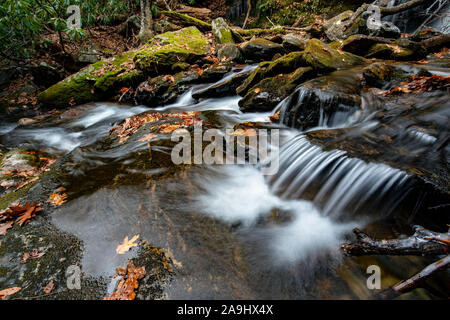 Obere Dill fällt auf Tanasee Creek - Nantahala National Forest, Kanada, North Carolina, USA Stockfoto