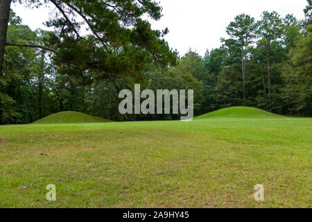 Bear Creek Damm auf den Natchez Trace Parkway Mississippi MS auch als die 'alten Natchez Trace', ist ein historischer Wald Trail in den Vereinigten Stat bekannt Stockfoto