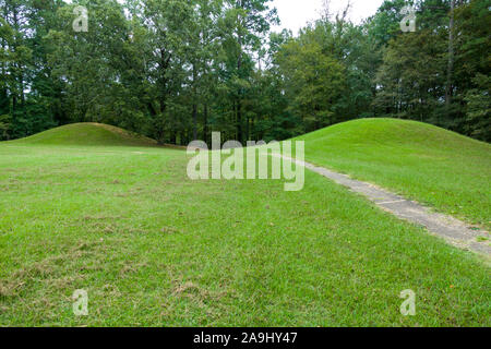 Bear Creek Damm auf den Natchez Trace Parkway Mississippi MS auch als die 'alten Natchez Trace', ist ein historischer Wald Trail in den Vereinigten Stat bekannt Stockfoto