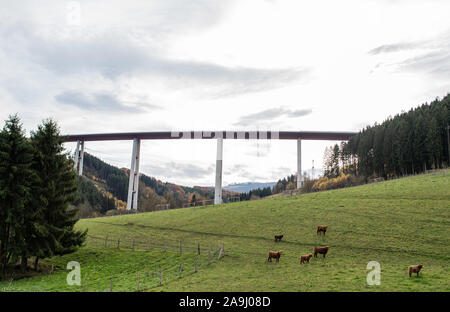 Nuttlar, Deutschland. 14 Nov, 2019. Rinder stehen auf einer Wiese vor dem nuttlar Viadukt. Das Tal Brücke Nuttlar ist eine abgeschlossene Tal Brücke im Zuge der Erweiterung der Bundesautobahn 46 im Sauerland. Mit einer Höhe von 115 Metern ist sie die höchste Brücke in Nordrhein-Westfalen. Am 18.11.2019 Die Brücke und der A46 wird offiziell eingeweiht und für den Verkehr geöffnet. Credit: Guido Kirchner/dpa/Alamy leben Nachrichten Stockfoto