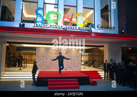 Malaga, Spanien. 15 Nov, 2019. Schauspieler Antonio Banderas Posen auf dem roten Teppich bei einem Fotoshooting des Musicals "A Chorus Line" vor der Premiere im Soho Caixabank Theater. Spanische Schauspieler und Regisseur Antonio Banderas seinen neuen Theater in Málaga eröffnet sein erstes Musical "A Chorus Line", der in der ursprünglichen musikalischen Produktion über die Geschichte einer Gruppe von Tänzerinnen und Tänzer vom Broadway, die darauf abzielen, die Teilnahme an der musikalischen Chor zu nehmen. Credit: SOPA Images Limited/Alamy leben Nachrichten Stockfoto