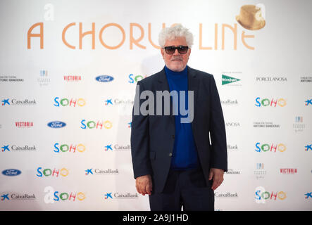 Malaga, Spanien. 15 Nov, 2019. Spanische Regisseur Pedro Almodóvar Posen auf dem roten Teppich bei einem Fotoshooting des Musicals "A Chorus Line" vor der Premiere im Soho Caixabank Theater. Spanische Schauspieler und Regisseur Antonio Banderas seinen neuen Theater in Málaga eröffnet sein erstes Musical "A Chorus Line", der in der ursprünglichen musikalischen Produktion über die Geschichte einer Gruppe von Tänzerinnen und Tänzer vom Broadway, die darauf abzielen, die Teilnahme an der musikalischen Chor zu nehmen. Credit: SOPA Images Limited/Alamy leben Nachrichten Stockfoto