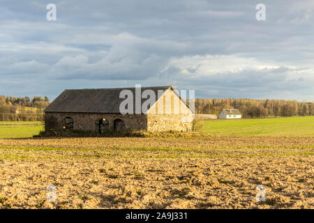 Eine verlassene Scheune steht mitten in den Furchen des Feldes. Industrial Dairy Farm. Podlasien, Polen. Stockfoto