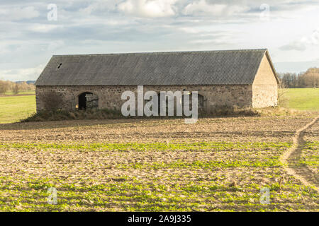 Herbst Sonnenuntergang. Eine verlassene Scheune steht mitten in den Furchen des Feldes. Seite Fassade. Industrial Dairy Farm. Podlasien, Polen. Stockfoto