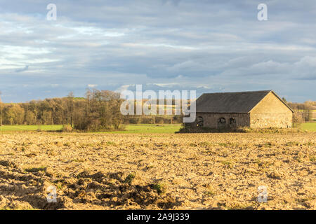 Herbst Sonnenuntergang. Eine verlassene Scheune steht mitten in den Furchen des Feldes. Industrial Dairy Farm. Podlasien, Polen. Stockfoto