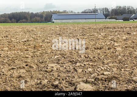 Eine neue Scheune steht am Rande eines gepflügten Feldes. Industrial Dairy Farm. Podlasien, Polen. Stockfoto