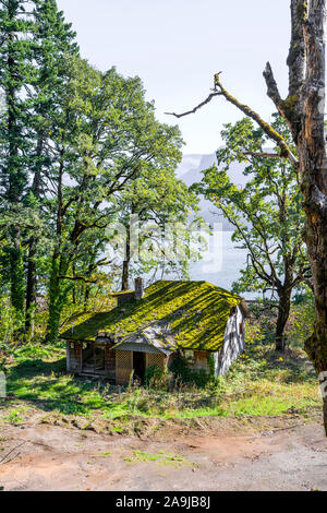 Eine alte unbewohnte verzogen verlassenes Haus mit grünem Moos auf dem Dach steht auf einer Lichtung zwischen den Bäumen am Ufer des Columbia River in Colom Stockfoto