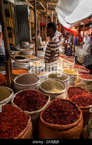 Äthiopien, Osten Hararghe, Harar, Harar Jugol, Shewa Tor, Mann in Spice Market Stockfoto