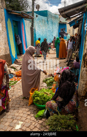 Äthiopien, Osten Hararghe, Harar, Harar Jugol, alte Stadtmauer, Frauen verkaufen Gemüse in engen Straße Stockfoto